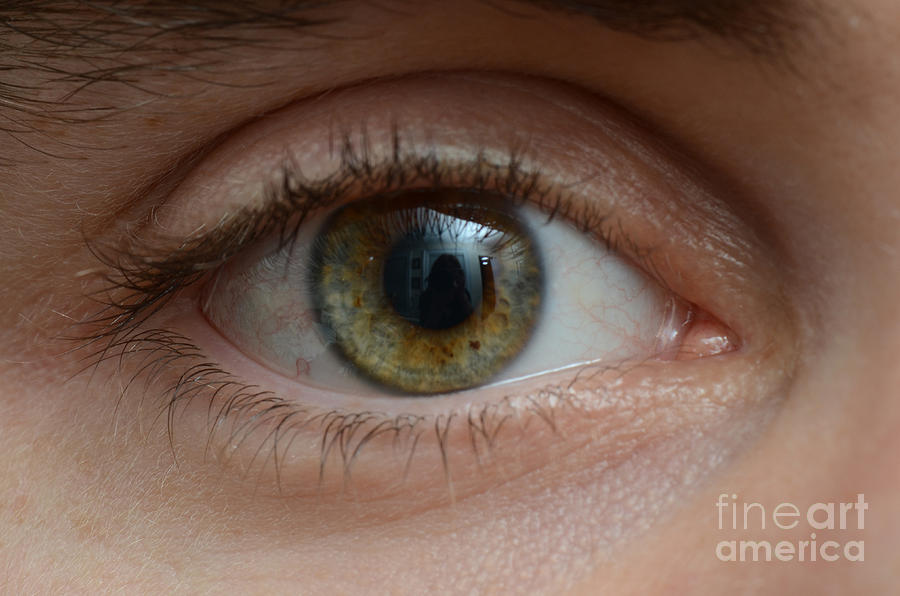 Mans Eye Photograph by Photo Researchers, Inc.