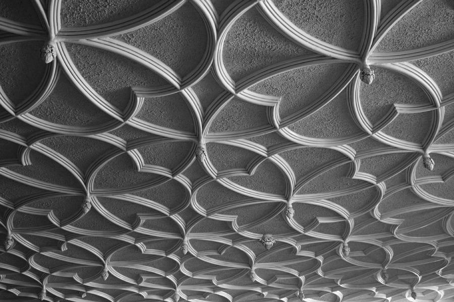 Mansion Ceiling Photograph by Pat Moore - Fine Art America