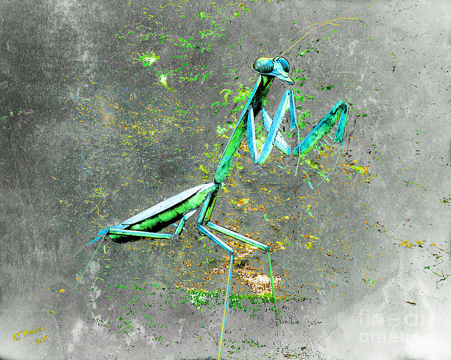Nature Photograph - Mantis 1 by Arne Hansen