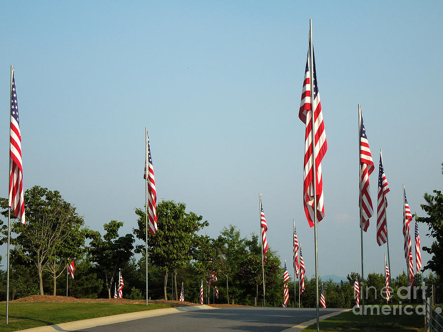 Many American Flags Photograph by Renee Trenholm