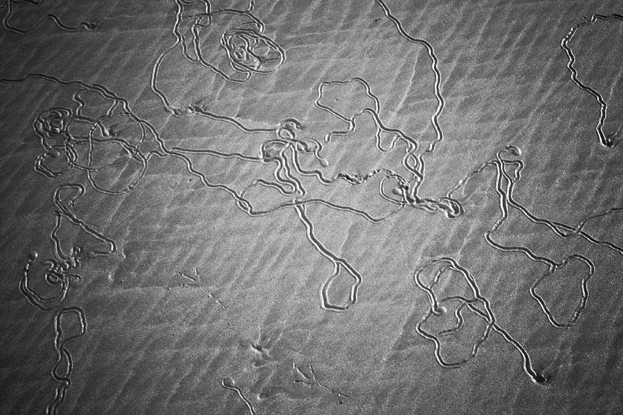 Map in the Sand Photograph by Anthony Doudt