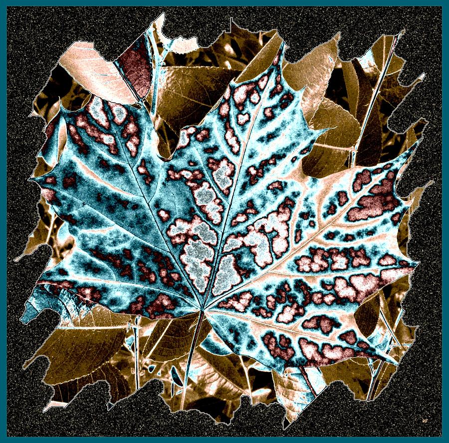 Abstract Digital Art - Maple Leaf And Laurel by Will Borden