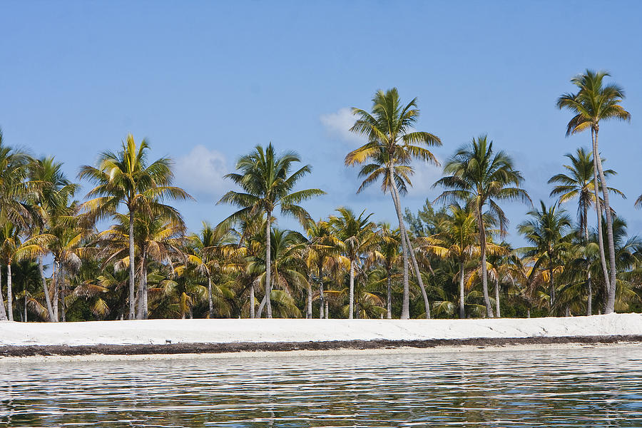 Marathon Key by John Zawacki Marathon Key by John Zawacki