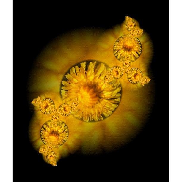 Flower Photograph - #marblemonday #marblecam #dandelion by Nicola ام ابراهيم