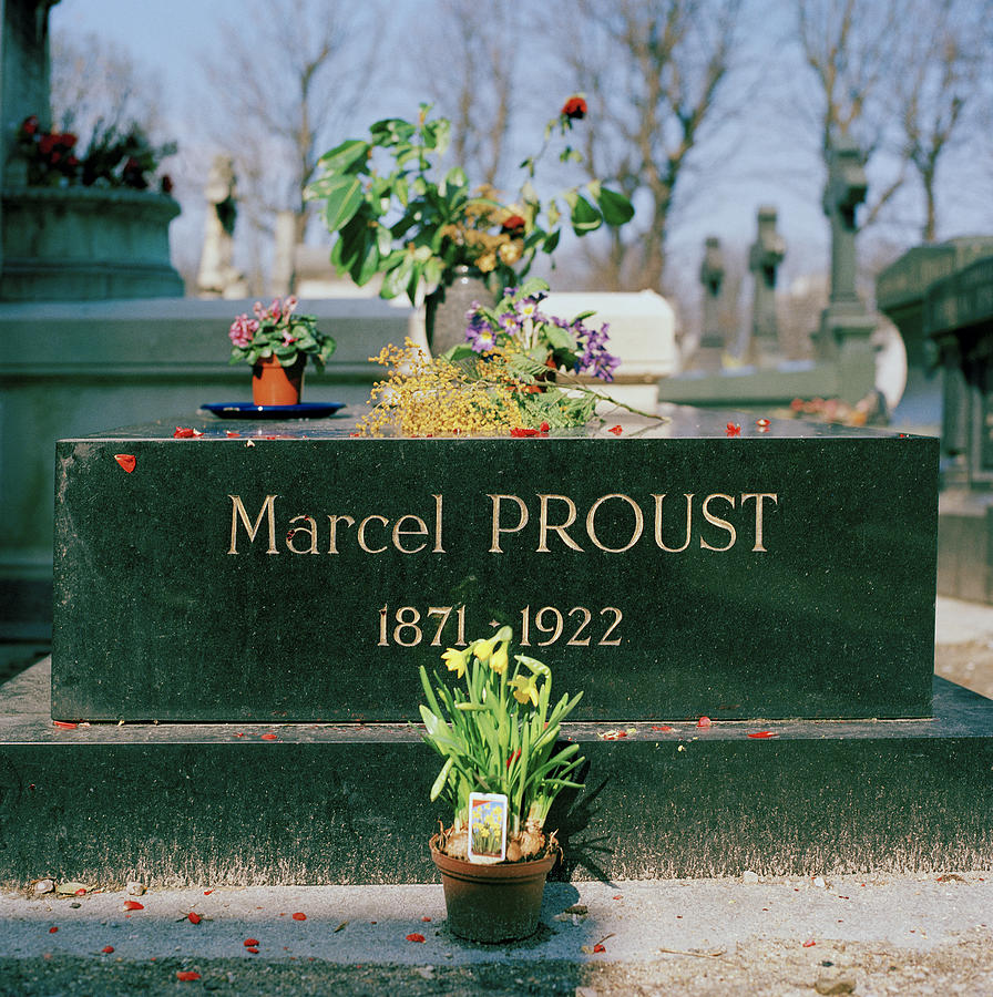 Proust Photograph by Shaun Higson