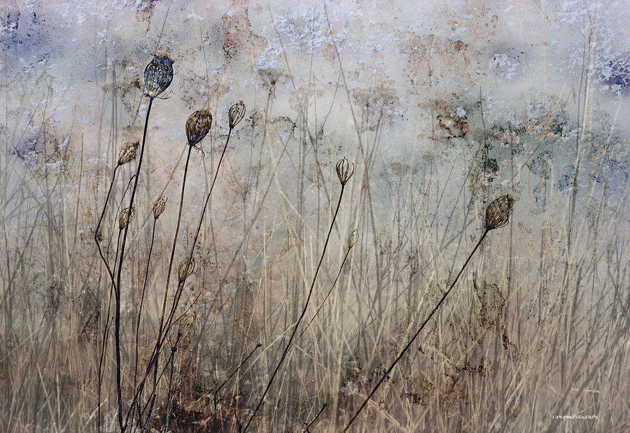 Winter Photograph - March Meadow by Ron Jones
