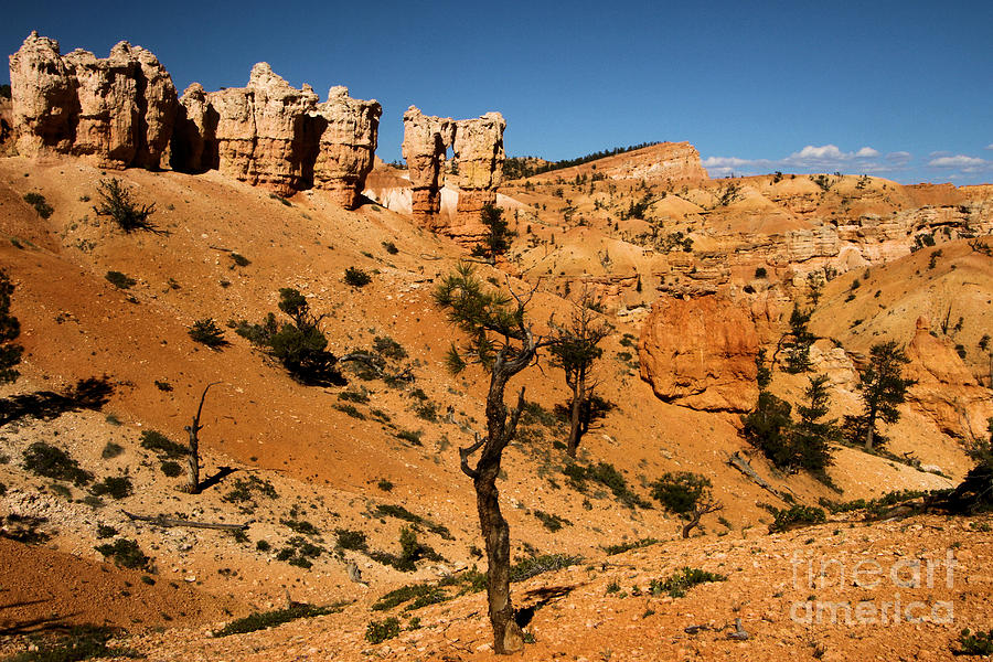 March of the Hoodoos Photograph by Adam Jewell
