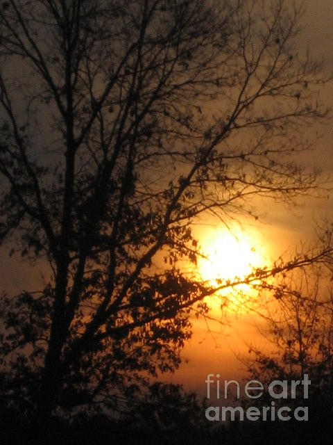 March Sunset Photograph by Christina A Pacillo