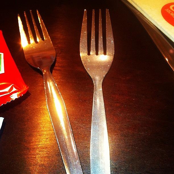 Marchphotoaday 12 Fork Photograph by Ria Walkden