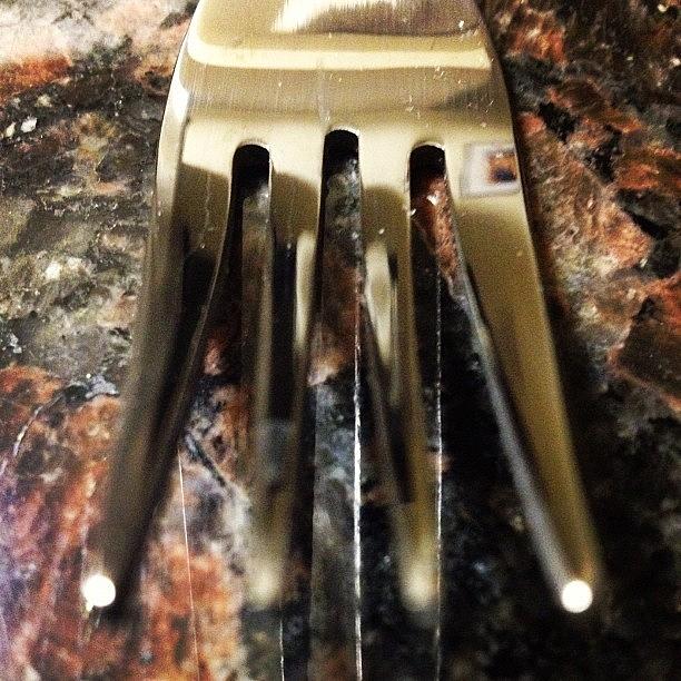 #marchphotoaday Fork Photograph by Hector Espinosa