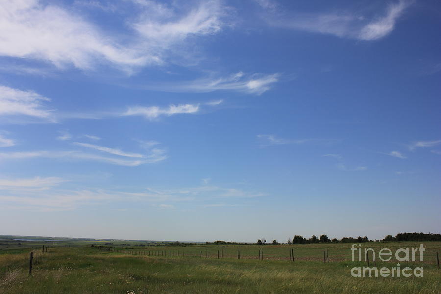 Mares Tails over the Prairies Photograph by Jim Sauchyn