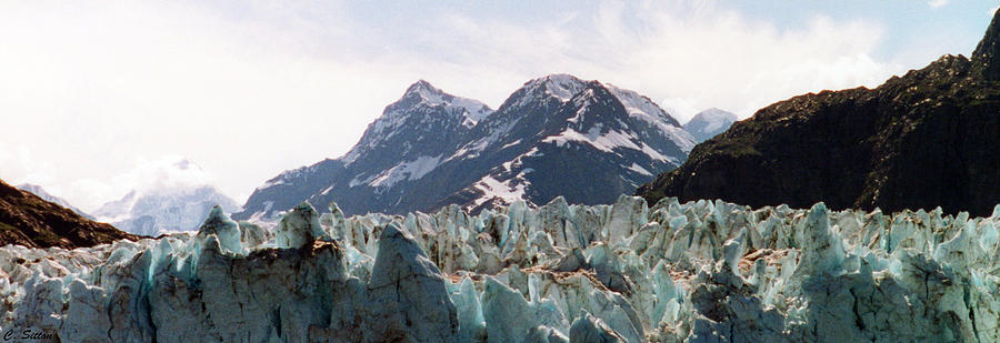 Margerie Glacier View Photograph by C Sitton