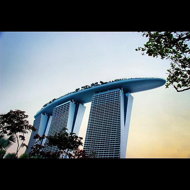Rose Photograph - Marina Bay Sands Towers By My Lens #omg by Ahmed Oujan