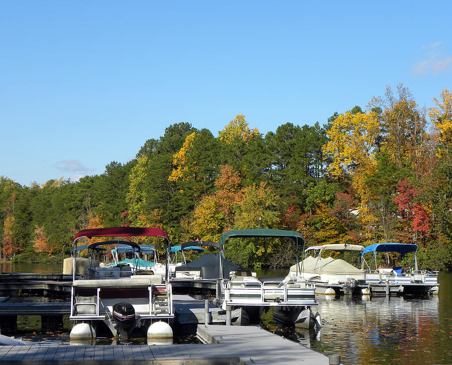 Marina in Fall Photograph by Sandi OReilly
