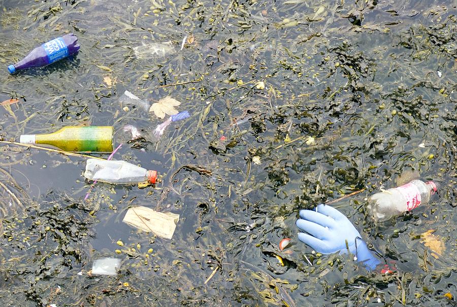 Bottle Photograph - Marine Pollution by Paul Biddle