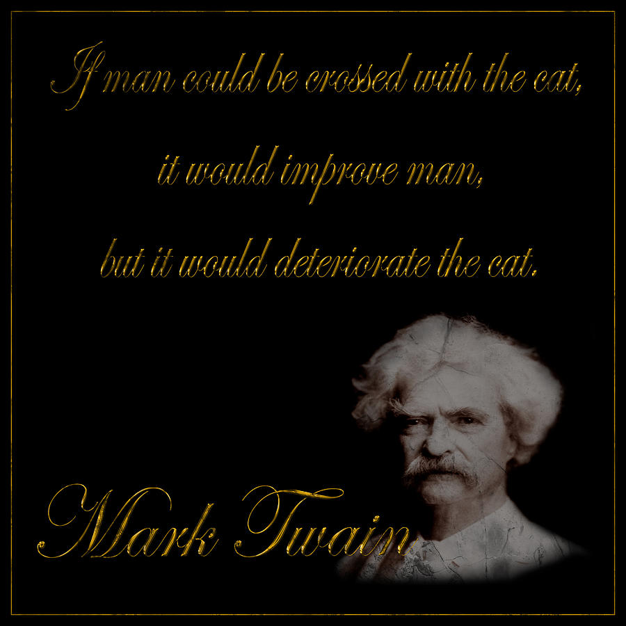 Mark Twain 1 Photograph by Andrew Fare