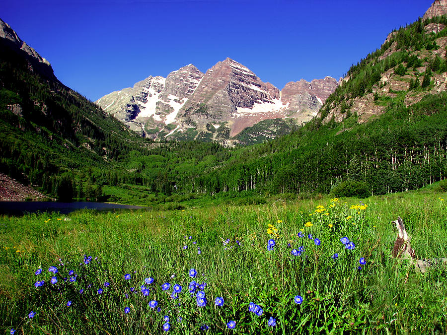 Maroon Bells in the Summertime Photograph by Rick Wicker