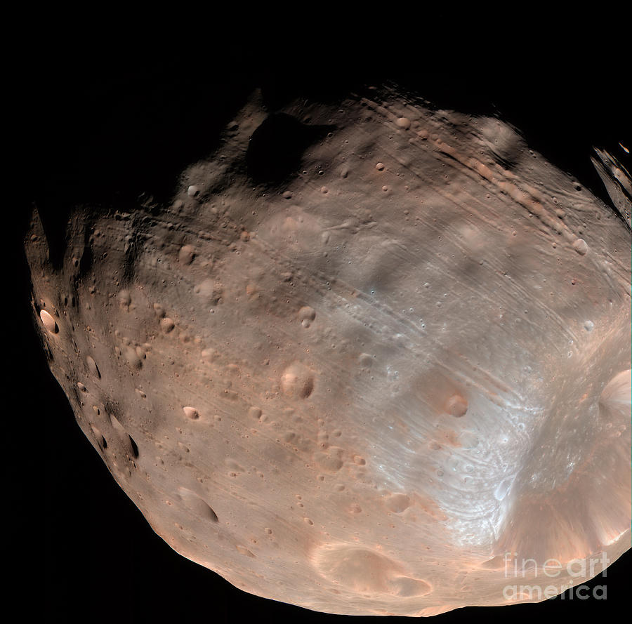 Mars Moon Phobos Photograph by Stocktrek Images
