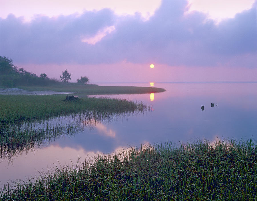 Landscape Photograph - Marsh At Sunrise Over Eagle Bay St by Tim Fitzharris