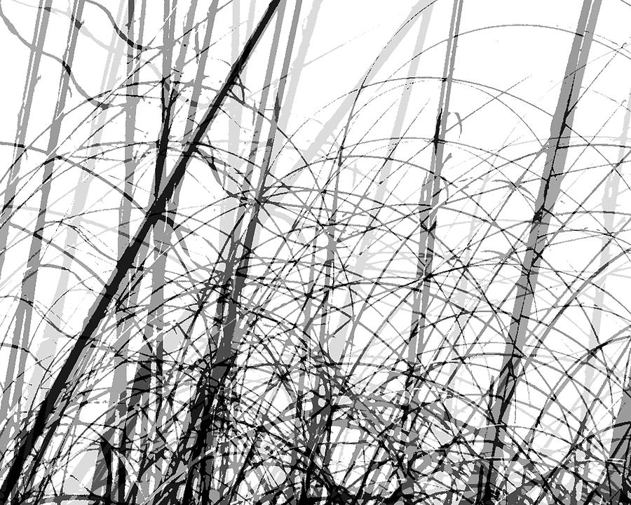 Marsh Grasses Digital Art by Lizi Beard-Ward