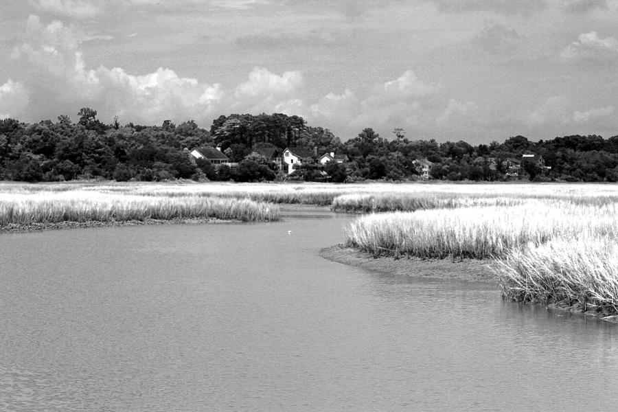 Marsh Infrared Photograph by Bill Barber
