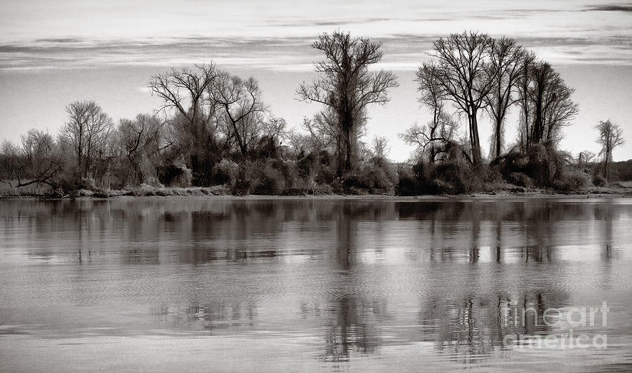 Winter Photograph - Marsh Island by Susan Isakson