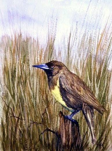 Marsh Painting - Marsh Mellow by Travis Kelley Marsh Painting - Marsh Mellow by Travis Kelley