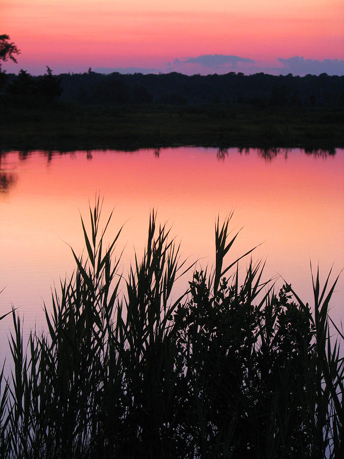 Marsh sunset Photograph by Clara Sue Beym