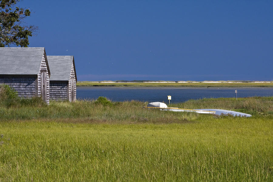 Marsh View Photograph by Michael Friedman
