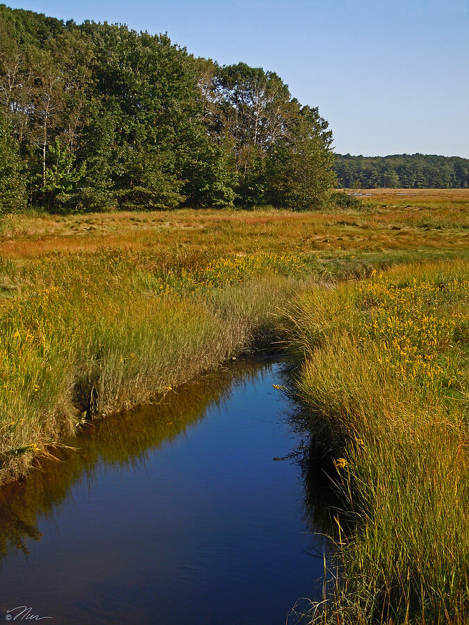 Marsh Water Photograph by Nancy Griswold