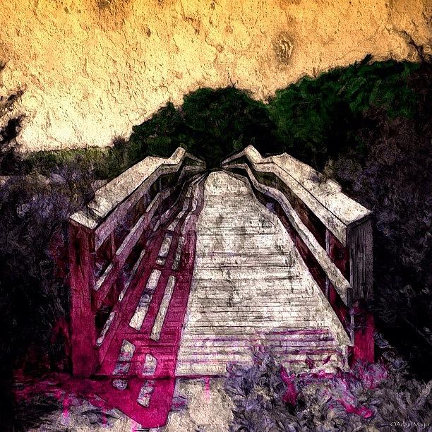 Bridge Photograph - Marshland Walkway - Where Does It Lead? by Photography By Boopero
