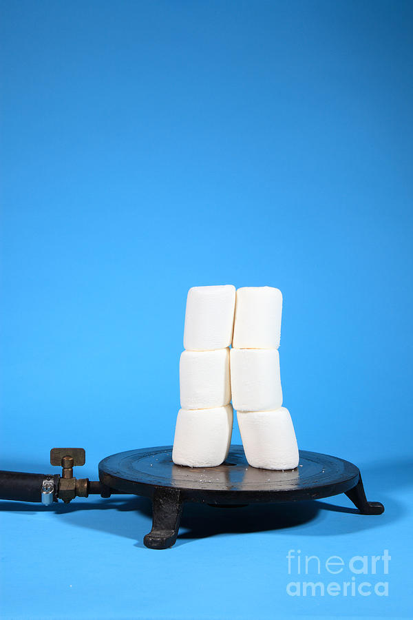 Marshmallows In A Vacuum, 1 Of 5 Photograph by Ted Kinsman