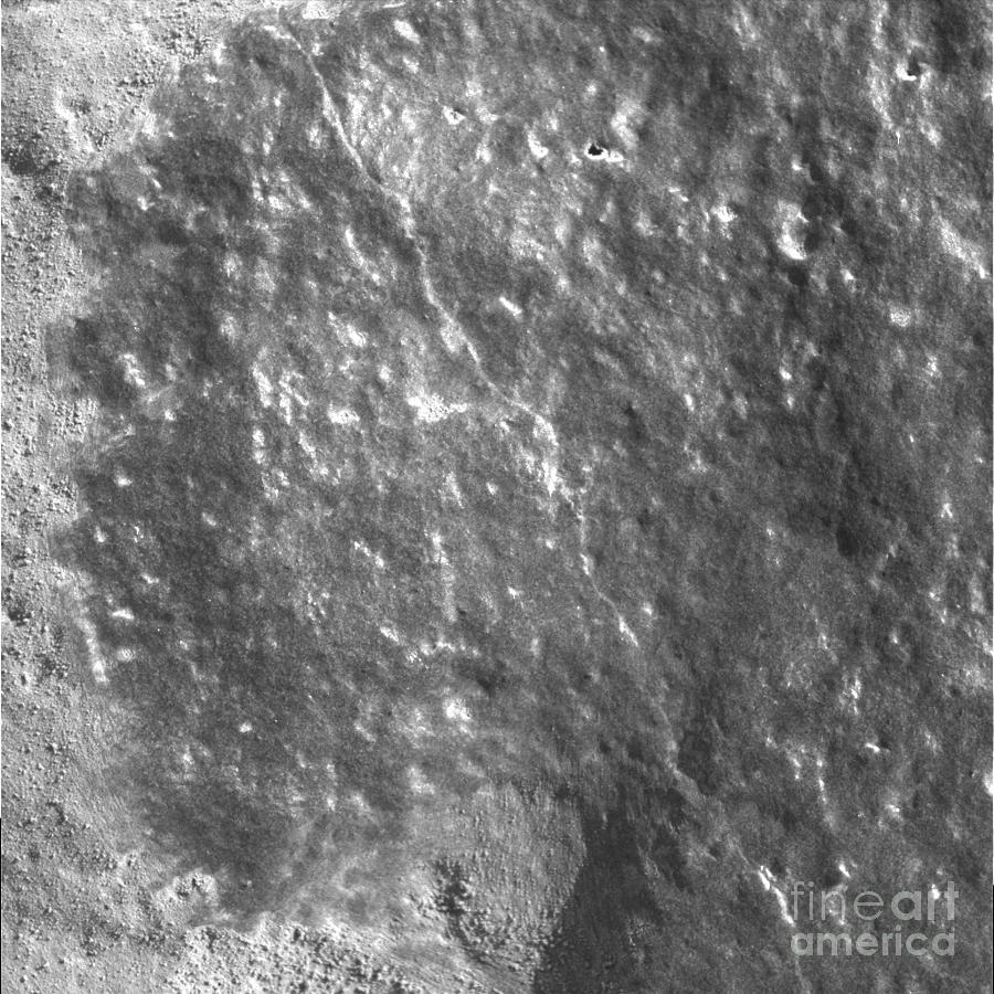 Martian Rock Photograph by NASA / JPL-Caltech / Cornell / U.S. Geological Survey