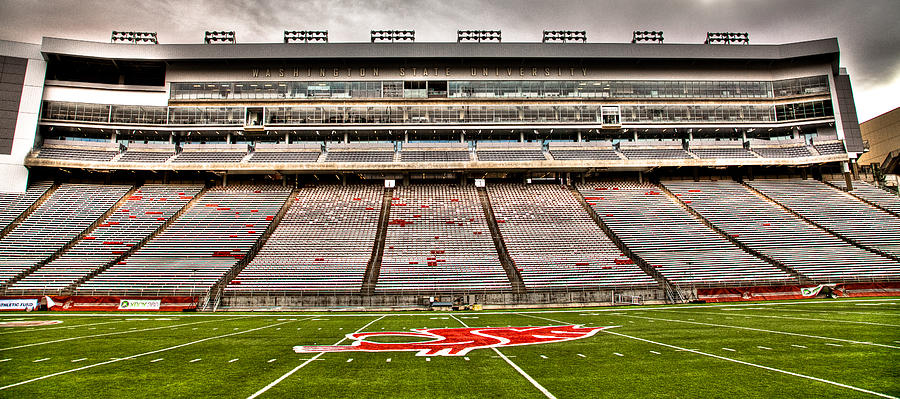 Martin Stadium at Washington State University Photograph by David Patterson