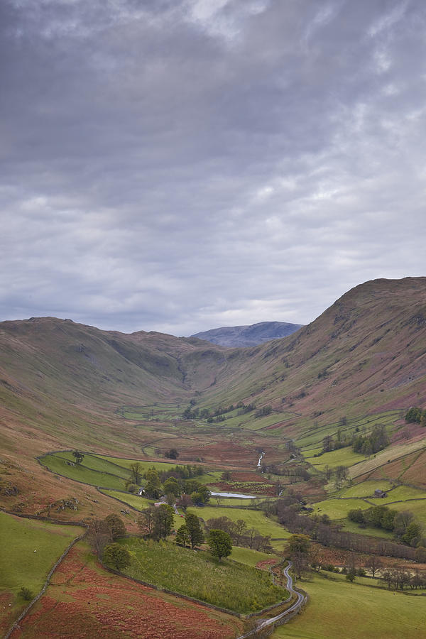 Martindale Common And Boredale From Hallin Fell Photograph by Julian Elliott Ethereal Light