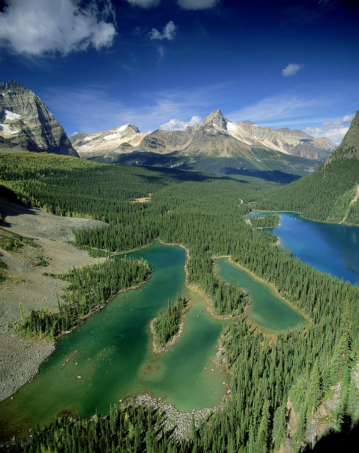 Mary Lake And Lake O Hara, Yoho Photograph by David Nunuk