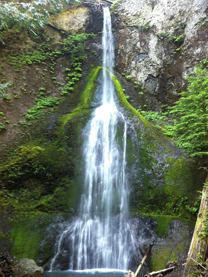 Marymere Falls Photograph by Alison Stein