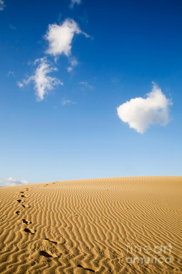 Maspalomas sand dunes Photograph by Kati Finell