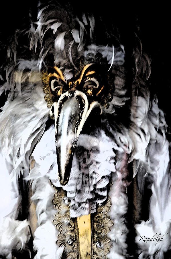 Masquerade Photograph by Cheri Randolph