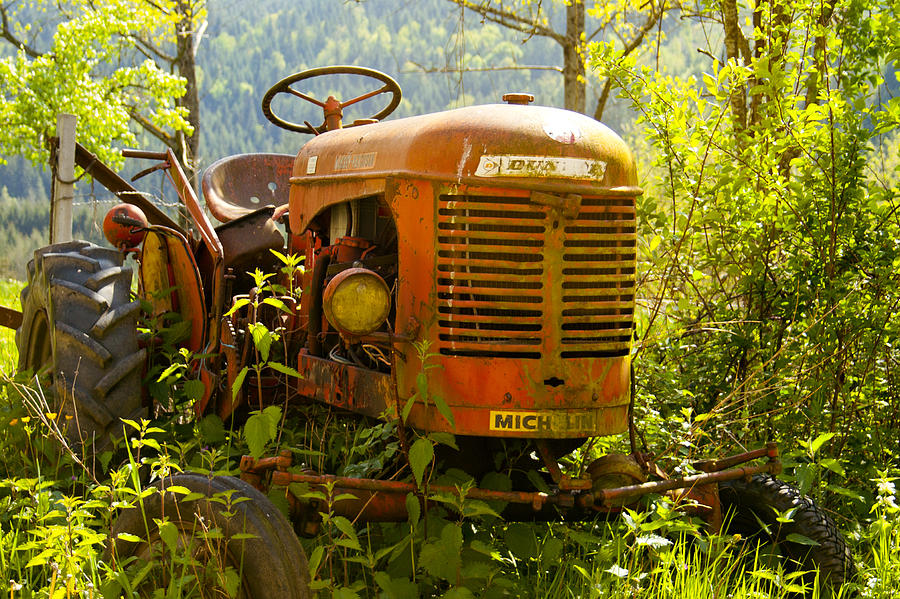 Massey Ferguson Tractor Photograph by Georgia Clare