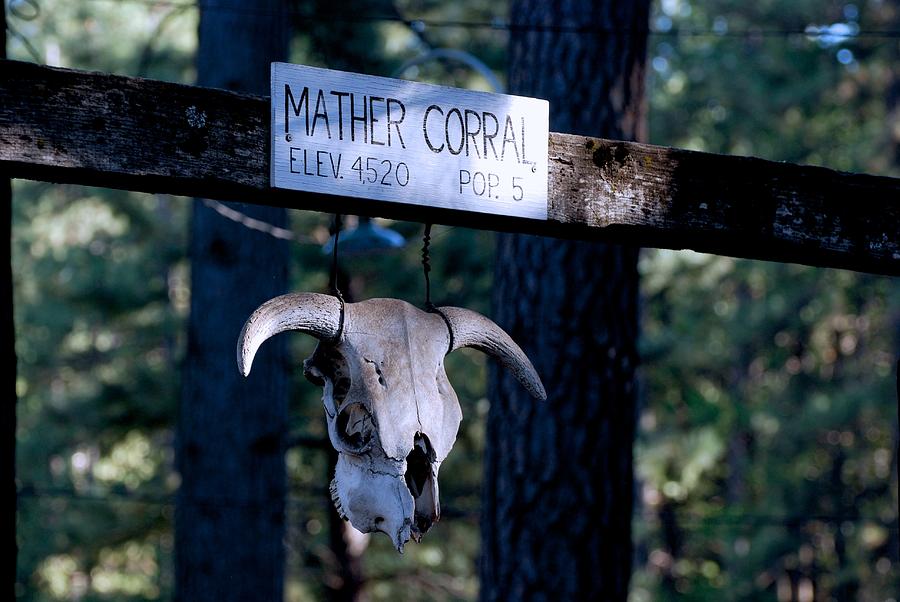 Mather Corral Photograph by Eric Tressler