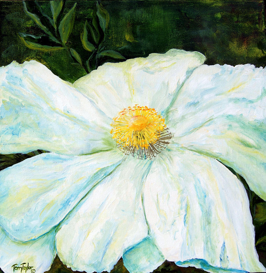 Matilija Poppy Painting by Terry Taylor