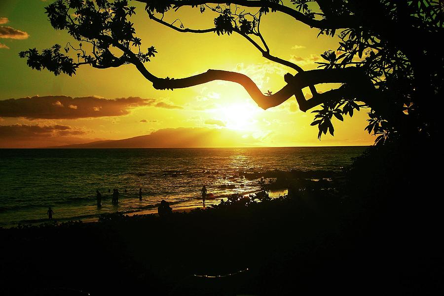 Maui Sunset Photograph by John Handfield