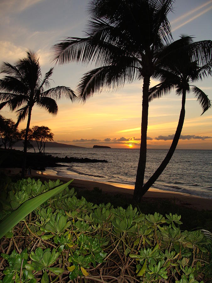 Sunset Photograph - Maui Sunset by Spike Burrows