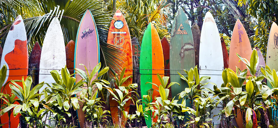 Maui Surfboard Fence2 Photograph