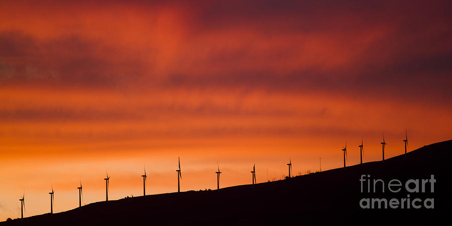 Maui Wind Power Photograph by Dustin K Ryan