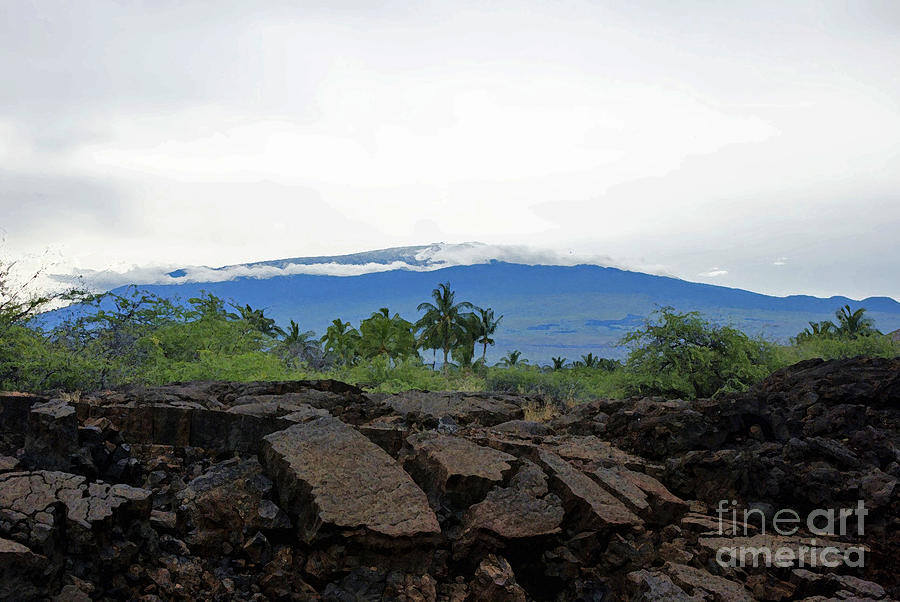 Mauna Kea with Lava in Foreground Photograph by Bette Phelan