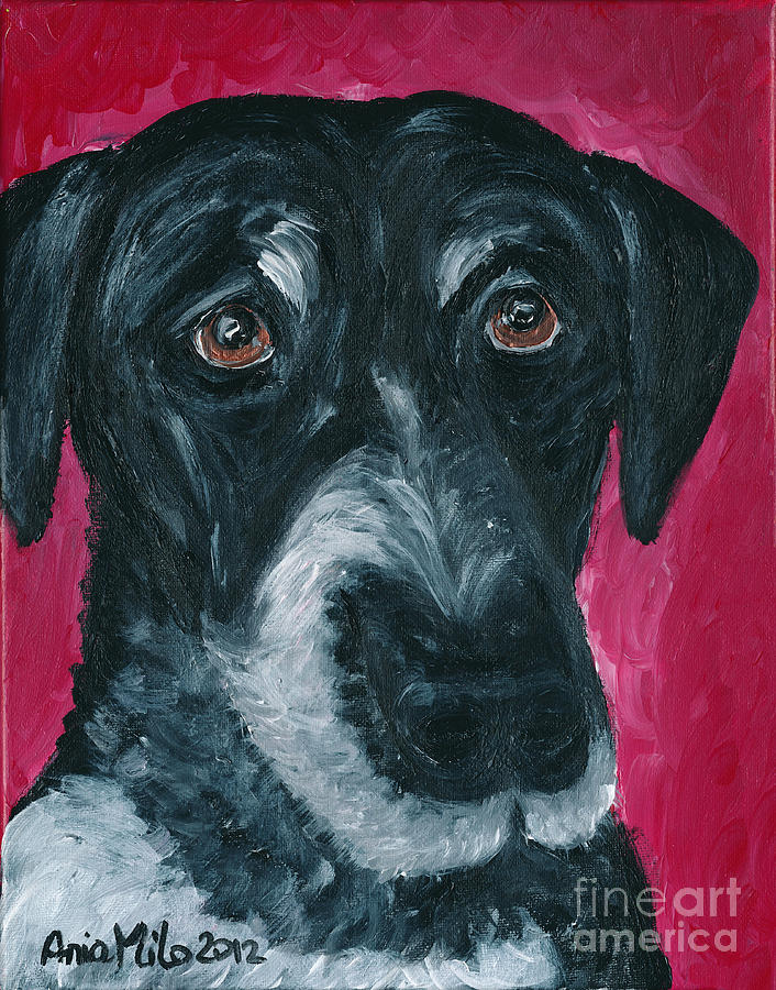 Max Painting by Ania M Milo