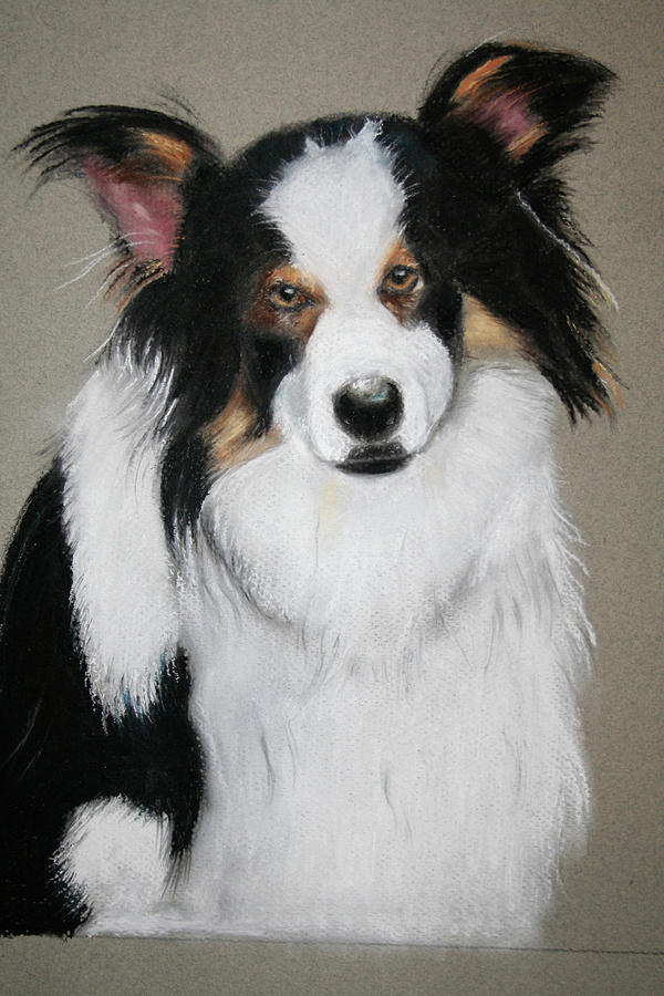 Dog Pastel - MAX by Barbara Gulotta