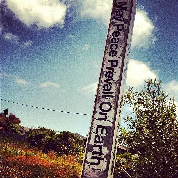Sign Photograph - May Peace Prevail On Earth #sign #peace by Veronica Rains